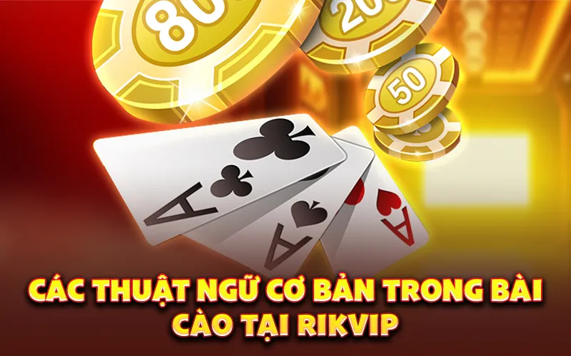 Các thuật ngữ cơ bản trong bài cào tại rikvip