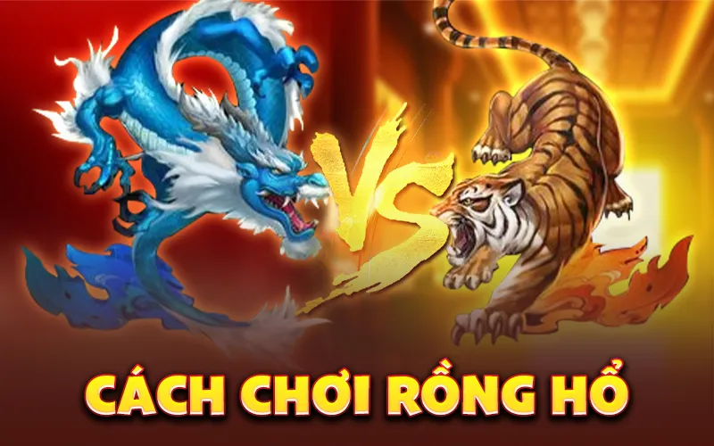 cách chơi rồng hổ
